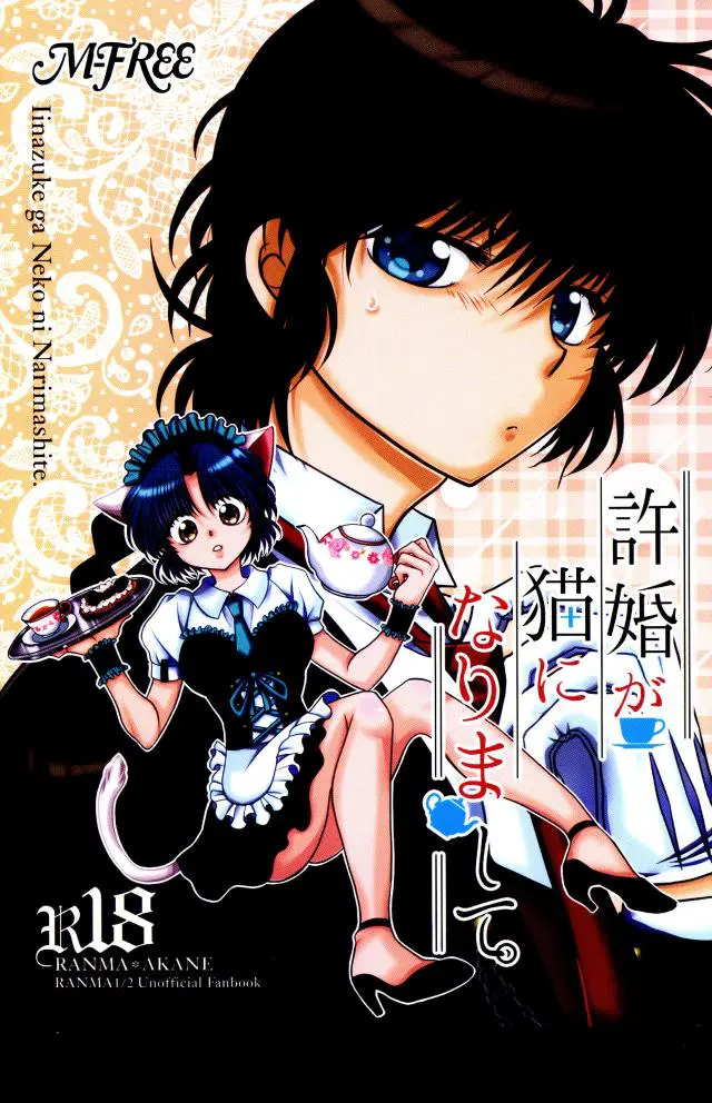 【エロ同人誌】あかねと一線を越えてからあかねへの独占欲が高まり止まらなくなるらんま！【らんま1/2】